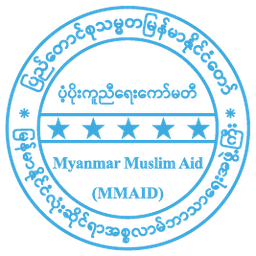 MMAID Logo